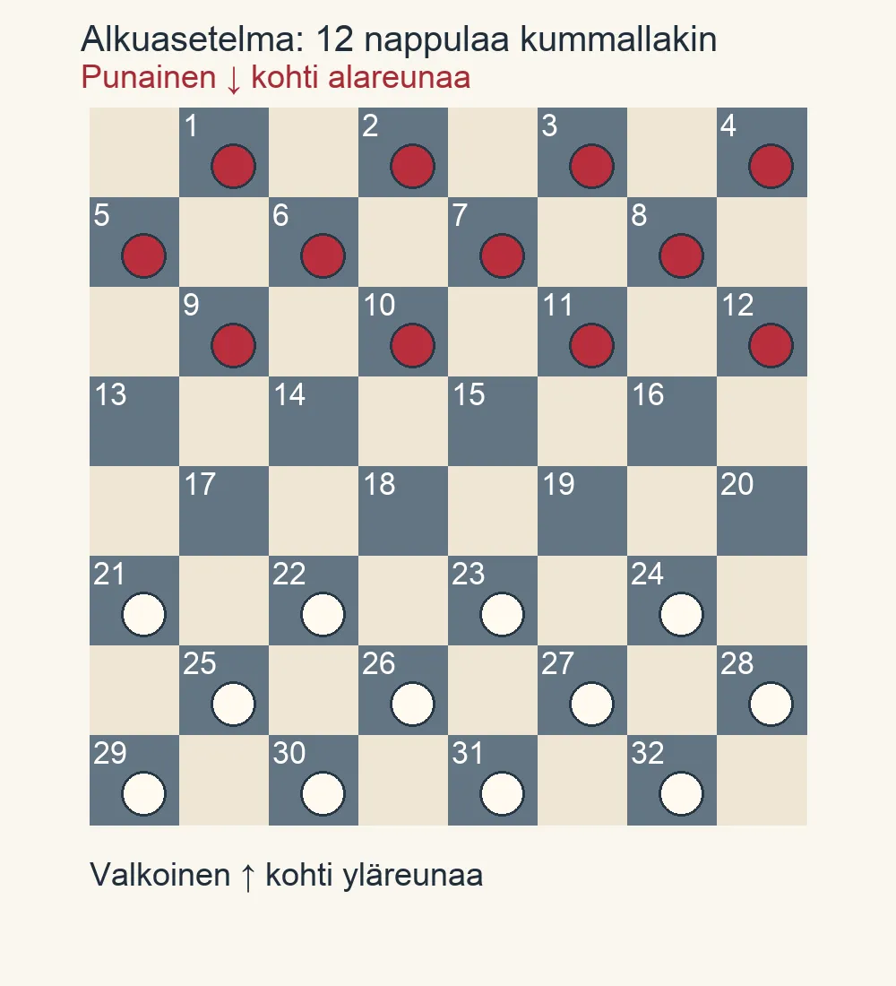 Tammen alkuasetelma: punaiset ruuduissa 1–12 ja valkoiset ruuduissa 21–32, keskellä kaksi tyhjää riviä.